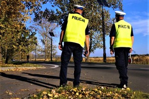 Policjanci stoją przy drodze.